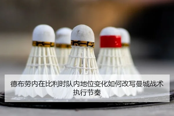 de-bu-lao-nei-zai-bi-li-shi-dui-nei-di-wei-bian-hua-ru-he-gai-xie-man-cheng-zhan-shu-zhi-xing-jie-zou-2-166.jpg