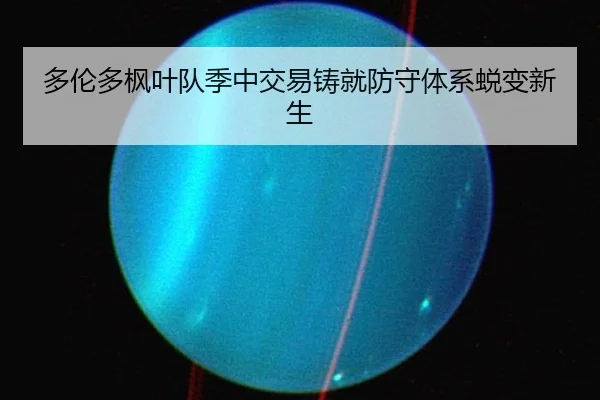 多伦多枫叶队季中交易铸就防守体系蜕变新生